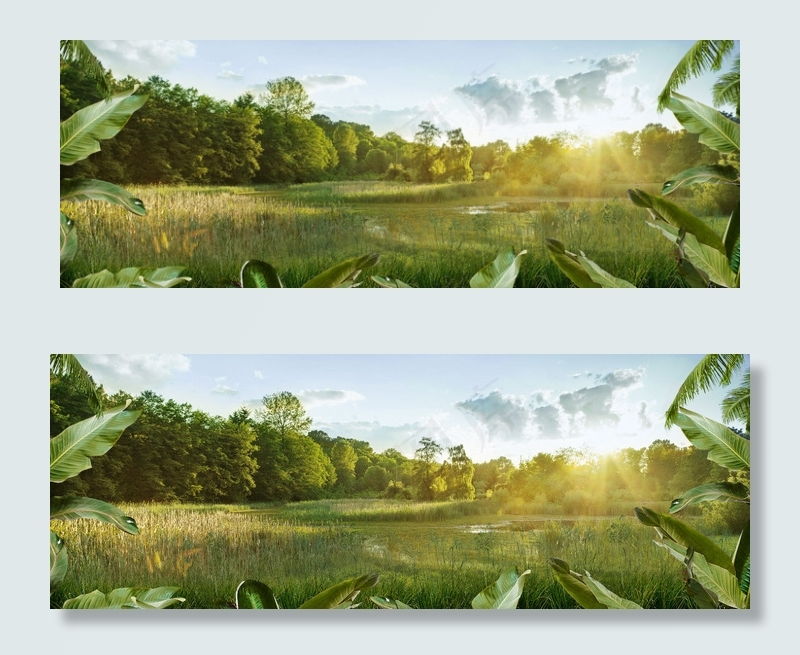 春天质感树木背景7