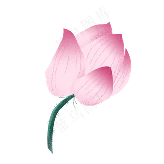 粉色创意植物荷花元素