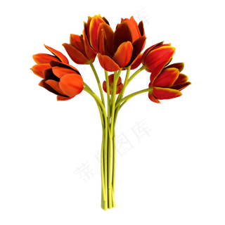 郁金香花束爱情浪漫可商用