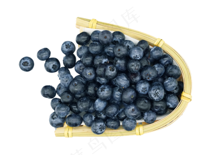 蓝莓水果食物