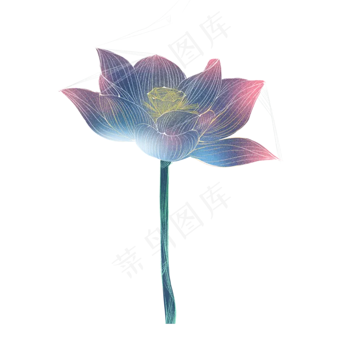 紫色玫红色渐变荷花(2000X2000(DPI:300))psd模版下载