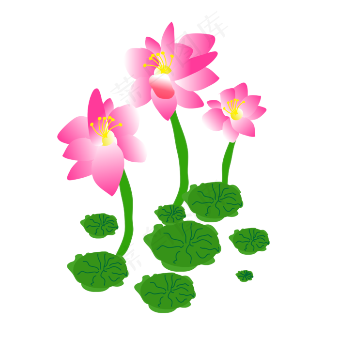 手绘卡通粉色荷花(4167*4167px 300 dpi )ai矢量模版下载
