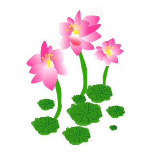 手绘卡通粉色荷花