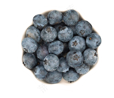 蓝色水果蓝莓