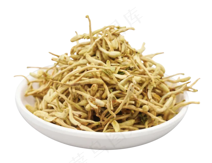 金银花茶 植物,免抠元素(3898*3000px 300 dpi )