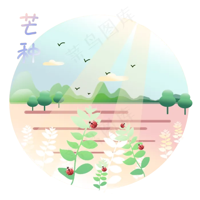 二十四节气芒种(2000X2000(DPI:100))psd模版下载