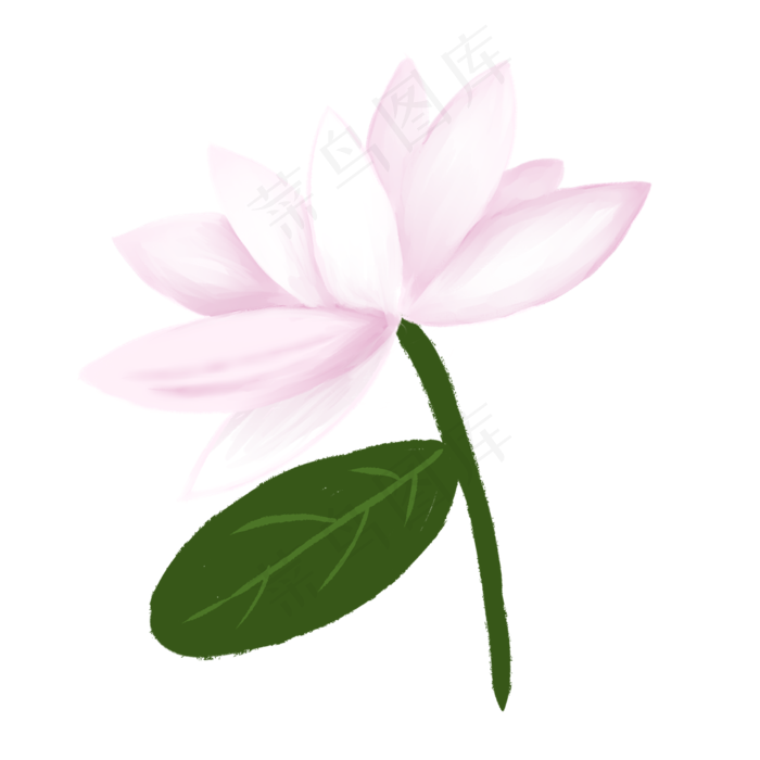 白荷花png素材(2000X2000(DPI:299))psd模版下载