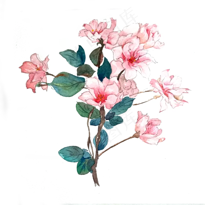 樱花粉色花卉唯美PNG花卉(3000X3000(DPI:300))psd模版下载