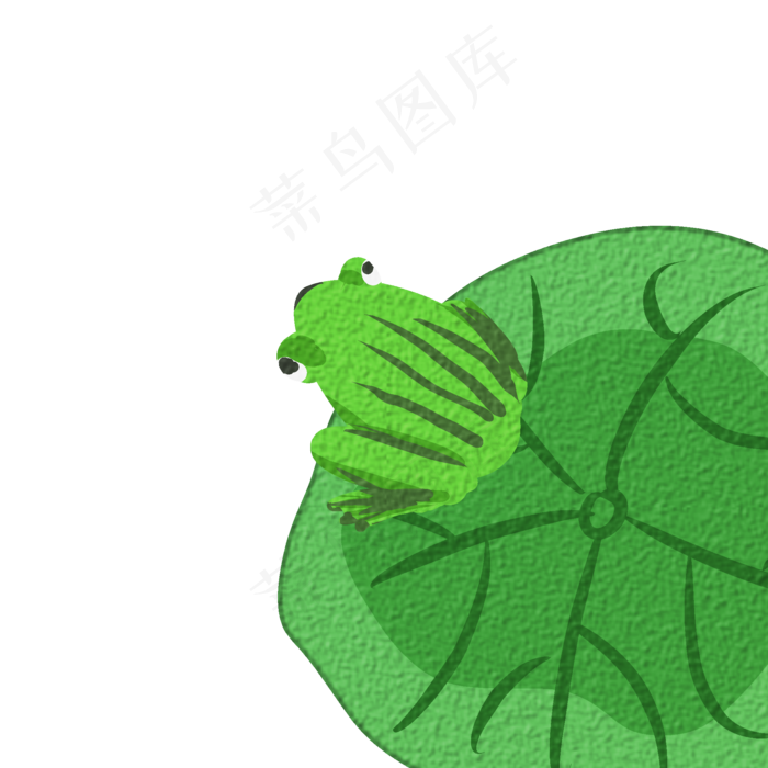 绿色的青蛙和荷叶免抠图(2000X2000(DPI:300))psd模版下载