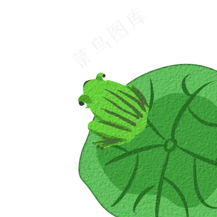绿色的青蛙和荷叶免抠图(2000X2000(DPI:300))psd模版下载