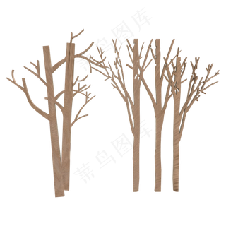 浅色桦树,免抠元素