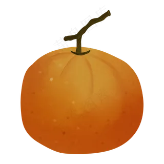 桔子橘子培育甜橘色水果