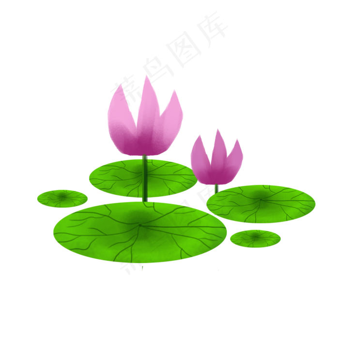 手绘荷花png素材(2000X2000(DPI:72))psd模版下载