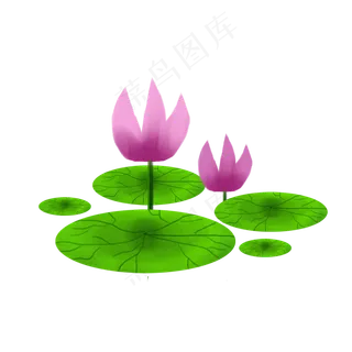 手绘荷花png素材