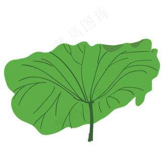 盛开的荷叶免抠图