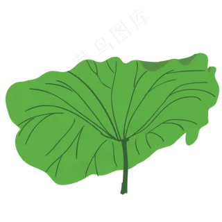 盛开的荷叶免抠图