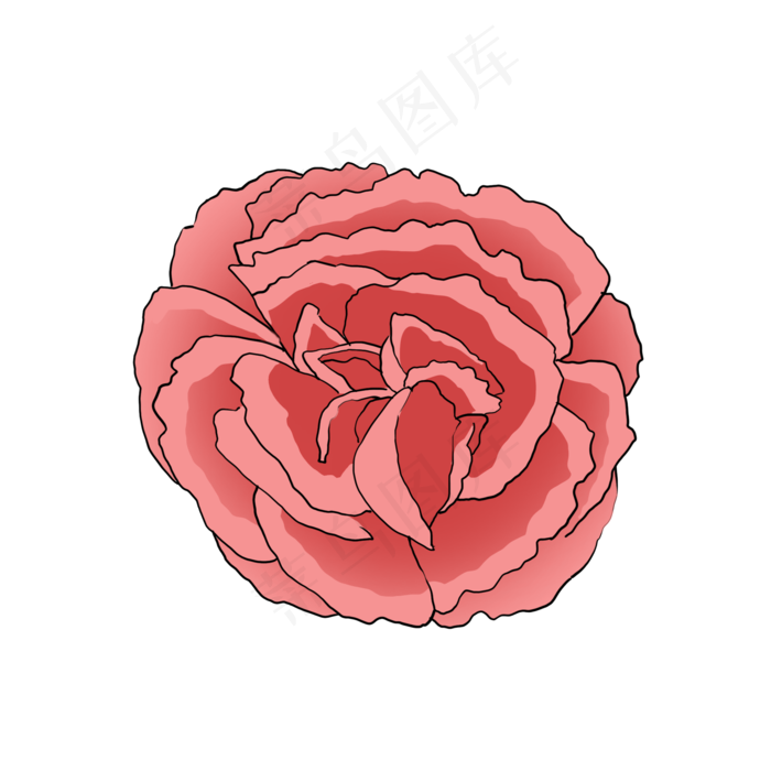 红色康乃馨漂亮美丽写实(2000X2000(DPI:300))psd模版下载