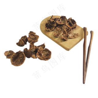 核桃皮中药,免抠元素