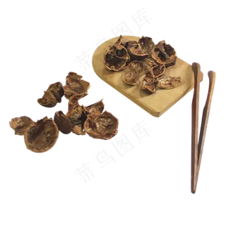 核桃皮中药,免抠元素