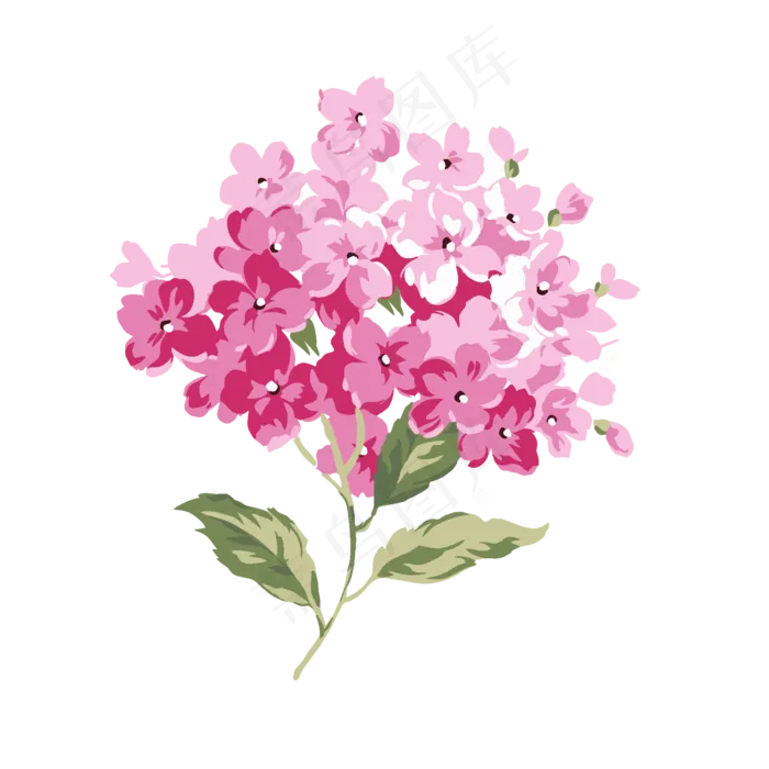 绣球花设计元素可商用元素