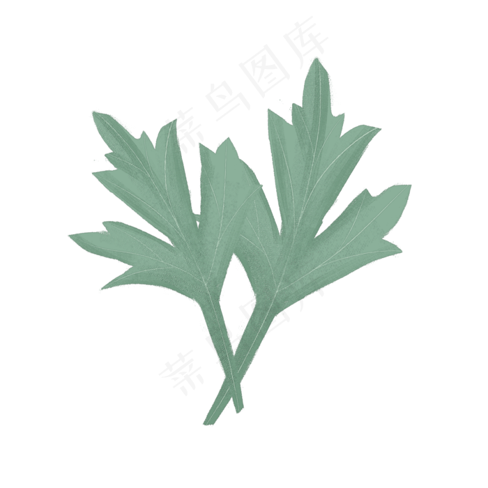 春天绿色植物大叶子