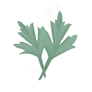 春天绿色植物大叶子