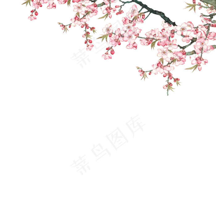 卡通开花的树枝下载(2000X2000(DPI:300))psd模版下载