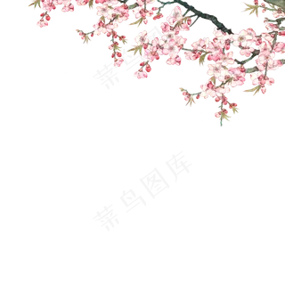 卡通开花的树枝下载