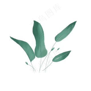 手绘绿叶可商用元素