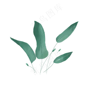 手绘绿叶可商用元素