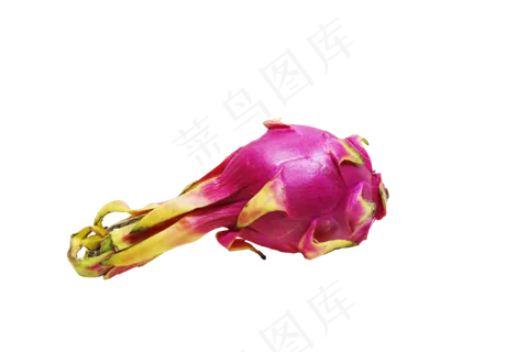 火龙果水果免扣