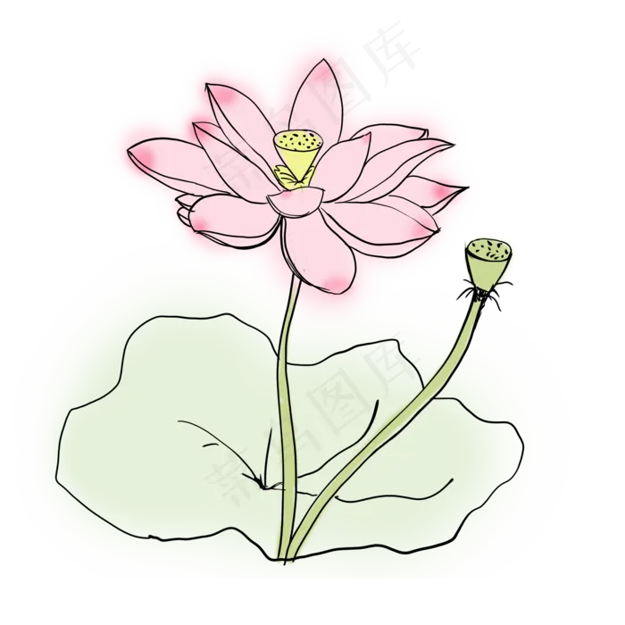简笔画荷花(2000*2000px 72 dpi )psd模版下载