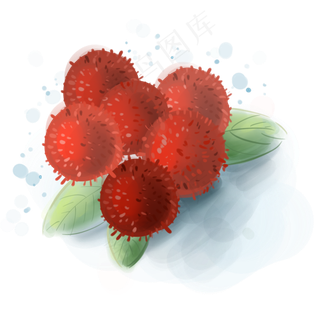 水彩水果新鲜的杨梅