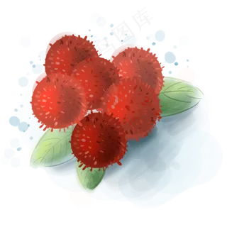 水彩水果新鲜的杨梅