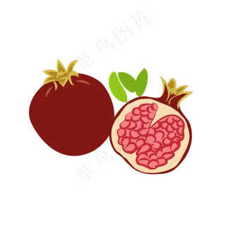 成熟水果石榴矢量图