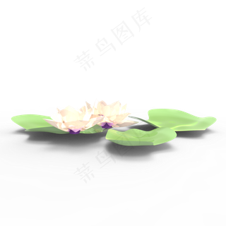 c4d夏天荷花白