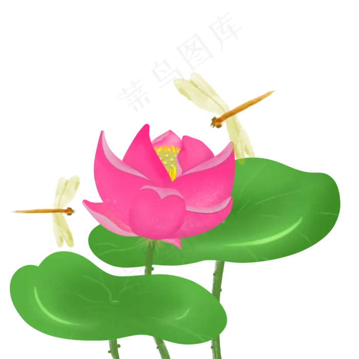 春天里被蜻蜓围绕的雅致荷花(2000X2000(DPI:300))psd模版下载