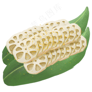 手绘美食原素材荷花果实之叶盘装