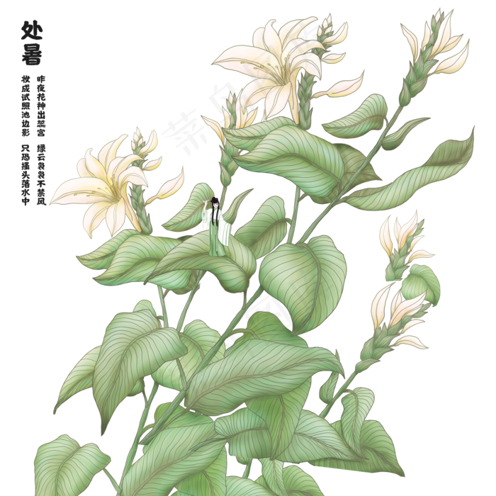 古风二十四节气处暑(2000X2000(DPI:300))psd模版下载