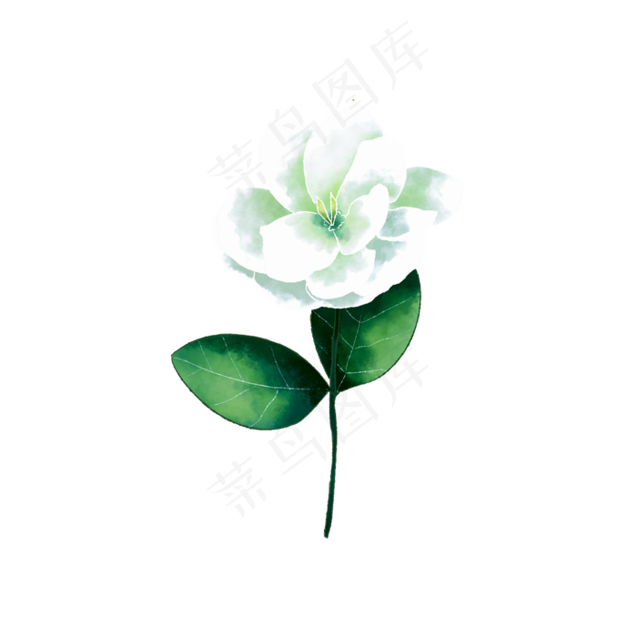 白色手绘茉莉花(2000X2000(DPI:72))psd模版下载