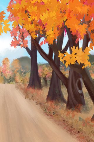 秋季田园风景美丽乡村田野