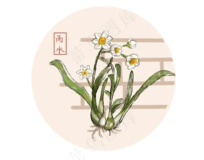 24节气雨水水仙花水墨画,免抠元素