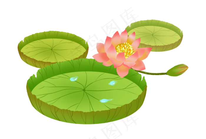 荷花荷叶莲花(2963X2000(DPI:300))psd模版下载