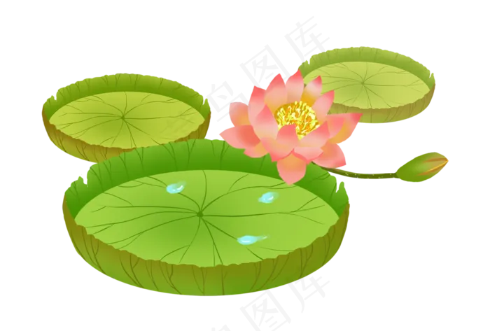 荷花荷叶莲花(2963X2000(DPI:300))psd模版下载