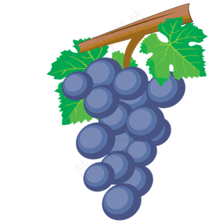 紫色的卡通葡萄水果