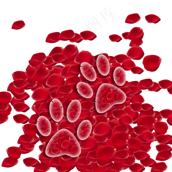 个性爪子印玫瑰花瓣(2000X2000(DPI:300))psd模版下载