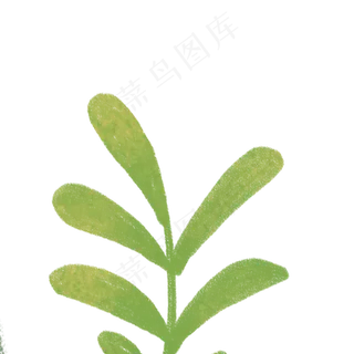 卡通春天植物绿叶下载