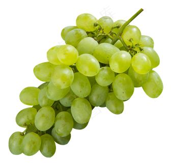 葡萄水果