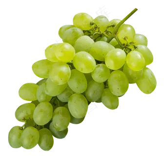 葡萄水果 葡萄水果