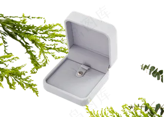 绿植灰色绒布首饰盒
